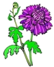 clip-art-flowers-308121.jpg