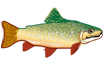 trout-294469_960_720.png