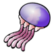 jellyfish.png