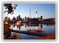 Auckland_Skyline