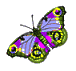 butterflyanimation-14.gif