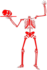 skeleton-head-md.png