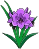 clip-art-flowers-247476.jpg