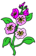 clip-art-flowers-275444.jpg