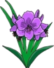 clip-art-flowers-247476.jpg