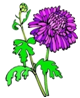 clip-art-flowers-308121.jpg