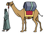 camel_tcm4-232184.jpg