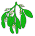6-mistletoe-1.jpg