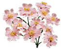 http://www.hellasmultimedia.com/webimages/flowers-htm/flowers/image_flowers/pinkdaisies.gif