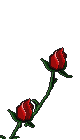 roses1.gif