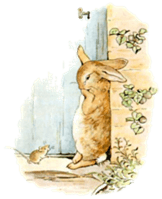 the-tale-of-peter-rabbit-20.jpg
