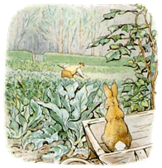 the-tale-of-peter-rabbit-22.jpg
