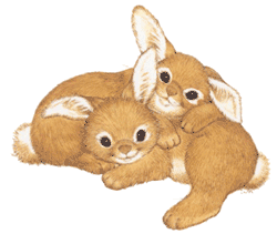 cuddling-bunnies.gif