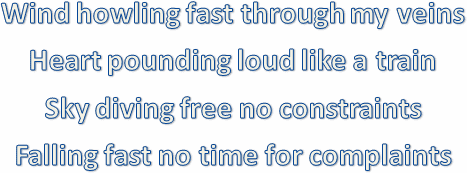 
Wind howling fast through my veins
Heart pounding loud like a train
Sky diving free no constraints
Falling fast no time for complaints