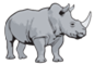 rhino.png