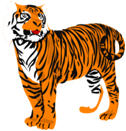 Tiger3_Animal_Clipart.png